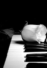 Black And White Music Instruments Photography White Rose Black And White Love Black And White Pictures Black And White