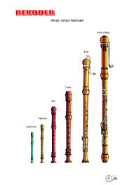 Mendapati sangat banyaknya jumlah alat musik tradisional, dapat kita simpulkan bahwasanya negara indonesia sangat kaya akan kebudayaannya. Muzik Dan Tarian Negara Malaysia