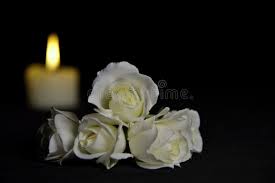 Maybe you would like to learn more about one of these? 408 Funeral Card Roses Photos Free Royalty Free Stock Photos From Dreamstime