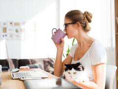 (1) munca suplimentară se compensează prin ore libere plătite în următoarele 60 de zile calendaristice după efectuarea acesteia. 6b339bg6afdogm