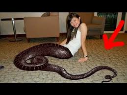 Top 5 Pessoas Com Mutacoes Geneticas Incriveis O Pensador Youtube