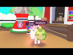 Get free unlimited legendary/neon pets in adopt me roblox… gamers can obtain pets roblox's adopt me. Adopt Me Glitch For Free Neon Unicorns Neon Legendarys Secret Map Location Of Adopt Me Roblox Cute766
