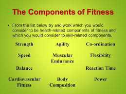 Muscular endurance is the ability to. Paf3o Paf4o Read The Beginnings Of These Sentences Finish The Thought With Your Own Opinion Being Fit Means Being Overweight Means Being Lean Ppt Download