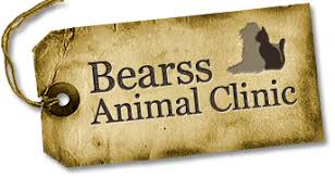 Companion pet hospital 11499 n. Bearss Animal Clinic Vet Clinic In Tampa Fl Pet Clinic Veterinary Care Vet Clinics