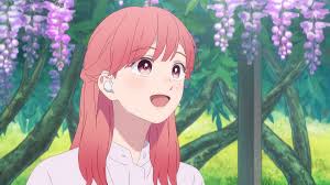 Anime I Wish Were English Dubbed