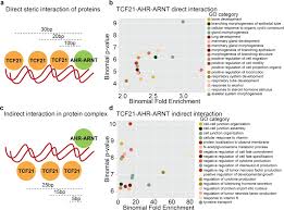 Maybe you would like to learn more about one of these? Ahres Bioz Ratings For Life Science Research