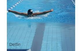Maybe you would like to learn more about one of these? Schwimmen By Delia Van Berkel On Prezi Next
