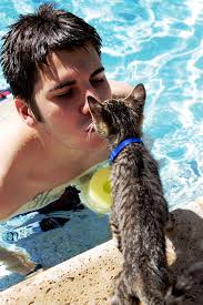 All information is peer reviewed. Feline Zoonosis Wikipedia