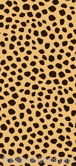 Check spelling or type a new query. Cheetah Print Iphone Wallpaper