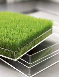 Site Actuellement Indisponible Mini Garden Indoor Garden Garden Room Ideas