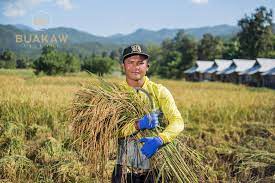 ดูรีวิว, บทความ, และภาพถ่ายของบัญชาเมฆยิม (บัวขาว วิลเลจ), ในบรรดาสถานที่น่าสนใจใน แม่แตง, ไทย บน tripadvisor Buakaw Village à¸š à¸§à¸‚à¸²à¸§ à¸§ à¸¥à¹€à¸¥à¸ˆ Home Facebook