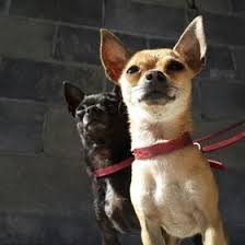 Whether you use a strong magnetic curtain rod capable of supporting a heavier valance or you opt for something lightweight, decorating a metal surface is easy and affordable with our top picks. Cristhela Gongora Crisalix Perfil Pinterest