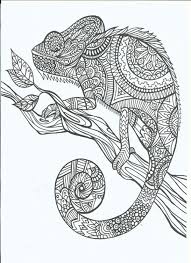 Free Printable Coloring Pages For Adults 12 More Designs Goruntuler Ile Boyama Kitaplari Boyama Sayfalari Bukalemun