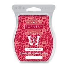 Plugs into any outlet and features a cute, sturdy shell. Accidentally In Love Scentsy Bar Buy And Sell Scents Order Scentsy