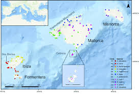 The balearic islands (illes balears, ; Map Of The Balearic Islands Western Mediterranean With The Collection Download Scientific Diagram