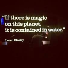 Photo By Juliaksherman Nature Quotes Quotes To Live By Great Quotes