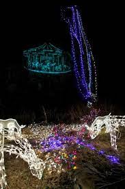 Pin On A Blooming Garden Of Lights At Ballard Park