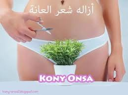 5 طرق مختلفة لإزالة شعر الجسم الزائد Beauty Hacks Beauty Bikinis