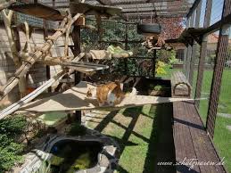 Ein Selbstgenahtes Begehbares Sonnensegel Fur Unser Katzengehege Katzengehege Katzenhaus Im Freien Katzengarten