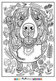 Bernese mountain dog sketch by wildspiritwolf. Free Printable Bernese Mountain Dog Coloring Page Available For Download Simple And Detailed Versions For Adu Dog Coloring Page Dog Coloring Book Dog Coloring