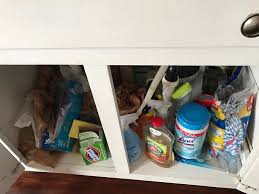 Check spelling or type a new query. 12 Organization Ideas For The New Year Diy Housewives Series 2 Bees In A Pod