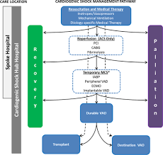 Contemporary Management of Cardiogenic Shock: A Scientific Statement From  the American Heart Association | Circulation