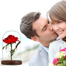 Rivertree Mothers Day Gifts Décor Rose Gifts for Mom Beauty and The Beast Rose  Light in Glass Dome Galaxy Red Rose Flower Gifts Home Artificial Flower  Rose Valentine's Day Anniversary Birthday in