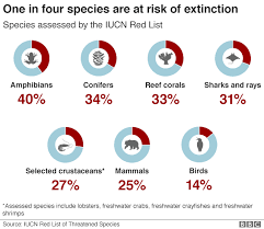 Natures Emergency Where We Are In Five Graphics Bbc News