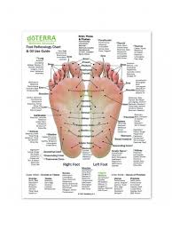 Foot And Hand Reflexology Chart 216 Mm X 280 Mm