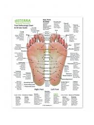 foot and hand reflexology chart 216 mm x 280 mm