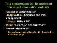 Department of agribusiness management and finance (university for development studies) free state university, faculty of natural and agricultural sciences. Insect Pest Management In Mint