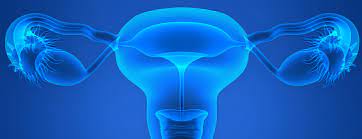 The Menstrual Cycle Patient Education Ucsf Health
