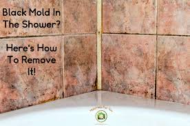 No matter how much you take care of your bathroom grout to keep it looking as good as new, some staining and discolouration are likely to make a habit of cleaning your tiles and grout as often as possible, so you don't find yourself coughing and sneezing without any apparent reason. Black Mold In The Shower Here S How To Remove It Mold Help For You