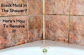 Cyanobacteria algae occurs naturally, and is contained in nearly all soil and plant debris. Black Mold In The Shower Here S How To Remove It Mold Help For You