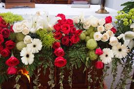 Cara unik merangkai bunga altar untuk masa natal, diperagakan oleh tim perangkai bunga paroki keluarga kudus cibinong. Bunga Altar Dekorasi Gereja