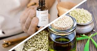There are several ways to extract cbd oil from cannabis. Hemp Seed Oil Vs Cbd Oil Your Guide To Knowing The Populum Stories