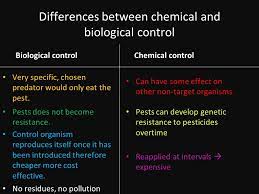 Biological pest control involves the use of another living organism to kill a pest. Pest Control Chemical And Biological Control Of Pests Ppt Download