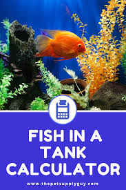 How Many Fish In A Tank Calculator The Pet Supply Guy In 2020 Fish Fish Care Fish Tank