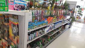 The point of this article is to list at least one interesting pet that is legal in each state; Major League Exotic Pets 400 S New Prospect Rd Jackson Nj 08527 Usa