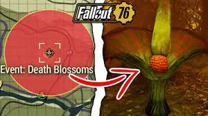 Fallout 76 What Happens If You Nuke The Death Blossoms Fallout 76 Secrets Youtube