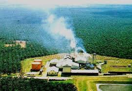 Последние твиты от pt pertamina patraniaga (@ptm_patraniaga). Lowongan Kerja Pt Taman Bukit Mas Karir Riau