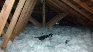 Maybe you would like to learn more about one of these? Seattle Insulation Repair Cost Effective Energy Saving Croach