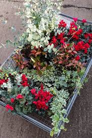 Artificial winter flowers for window boxes. How To Plant A Winter Window Box The Middle Sized Garden Gardening Blog