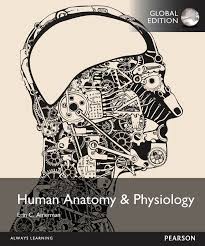 Human Anatomy And Physiology 1st 1e Global By Erin C Amerman Ciencias Sociales Capacitacion Socialismo