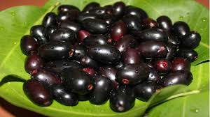 The present investigation entitled studies on variability in fruit characters of jamun (syzygium cumini skeels) was carried out in the campus of banaras hindu university, varanasi u.p. Kill Diabetes Eat This Wonder Fruit Nerale Hannu Black Jamun Healthy Village Food Youtube