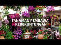 Nama lain dari jenis bunga yang satu ini adalah sliding rate. 12 Ide Krokot Bunga Tanaman Bonsai