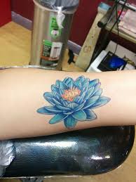 Pin By Antonette Dramstad On Tattoo Ideas Tattoos Blue Lotus Blue Lotus Flower