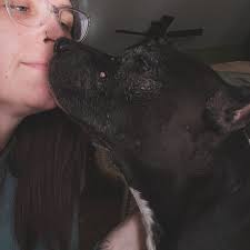 I haven't lost my dog yet. But we got the lung cancer diagnosis and couple  weeks ago. I can't sleep. I can't work. I can't focus. Everytime I leave  the house I'm