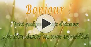 Check spelling or type a new query. Epingle Sur Citation