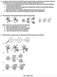Explain how organisms pass on their dna. Pin On Reproduction